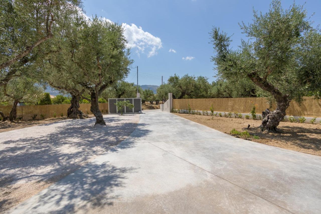 Villa Olivea Kalpaki  Exterior photo