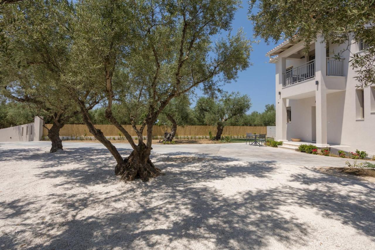 Villa Olivea Kalpaki  Exterior photo