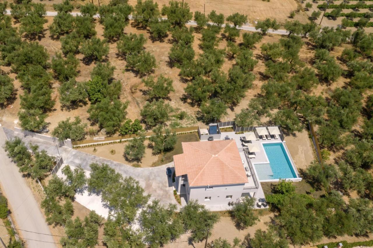 Villa Olivea Kalpaki  Exterior photo